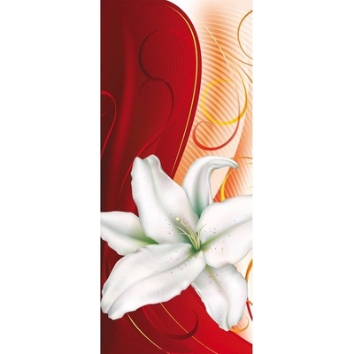 Preinterier Fototapeta - DV0160 - Biely kvet Samolep. fólia - 91cm x 211cm