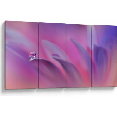 Obraz - Kvapka na kvete, štvordielne 160x80 cm