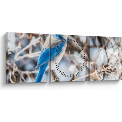 Obraz - Zimní ptáček (s hodinami), třídílný 90x30 cm s hodinami