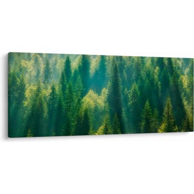 Obraz - Borovicový les, jednodílný 120x50 cm