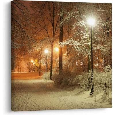 Obraz - Zasněžený park, jednodílný 70x70 cm