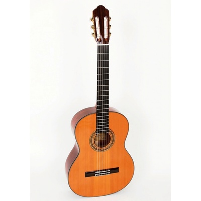 Pablo Vitaso VCG-40C – Hledejceny.cz