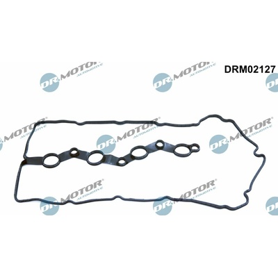 DR.MOTOR AUTOMOTIVE Tesnenie veka hlavy valcov DRM02127