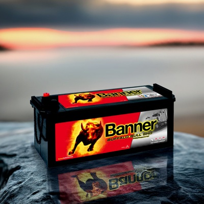 Banner Buffalo Bull SHD PROfessional 12V 145Ah 800A SHD645 03 – Hledejceny.cz