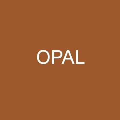 Lady B punčochové kalhoty NYLON EXTRA tights 20 DEN opal
