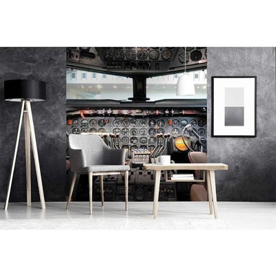 Dimex MS-3-0317 vliesová fototapeta na zeď Pohled z kokpitu rozměry 225 x 250 cm