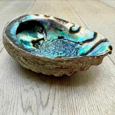 Matoska Vykuřovací mušle Abalone