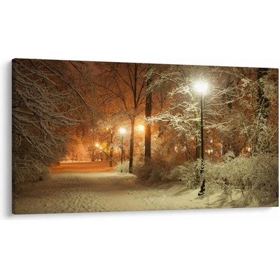 Obraz - Zasněžený park, jednodílný 120x70 cm