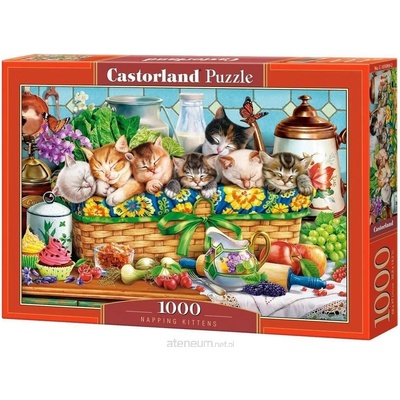 Castorland Podřimující koťata 1000 dílků