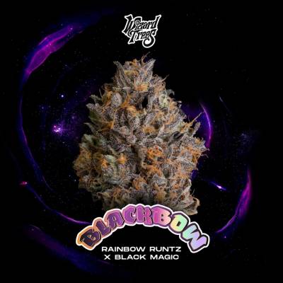 Wizard Trees Black Bow semienka neobsahujú THC3 ks