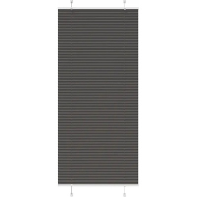VidaXL Roleta plisé 90 x 200 cm černá