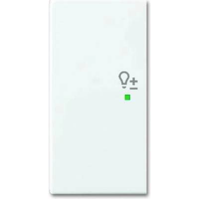 Busch-Jaeger 2CKA006220A0364