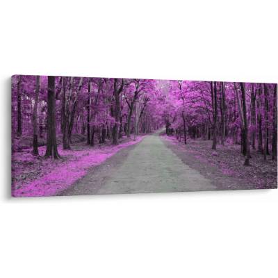 Obraz - Cesta parkem, jednodílný 120x50 cm