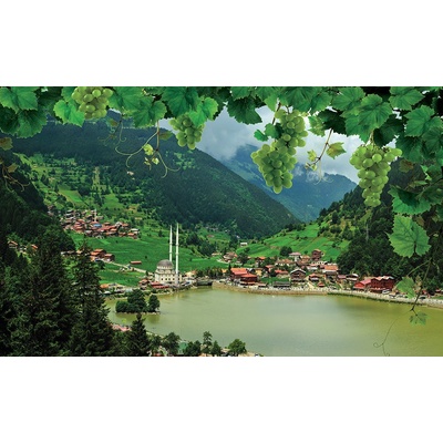 Preinterier FT2766 Fototapeta na stenu Obraz krajiny vlies 104cm x 70cm