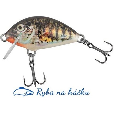 Salmo Tiny Floating Holo Stickleback 3 cm – Hledejceny.cz