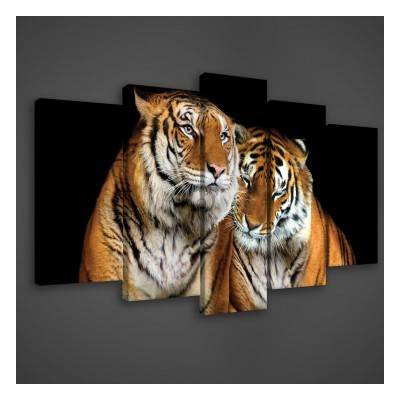 Obraz na plátne viacdielny - OB3426 - Tigre 100cm x 60cm - S17