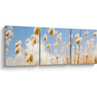 Obraz - Zlaté pole, trojdielne 90x30 cm