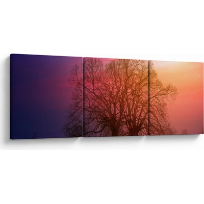 Obraz stromov v hmle, trojdielne 90x30 cm