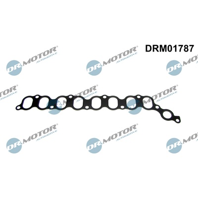 DR.MOTOR AUTOMOTIVE Tesnenie kolena sac. potrubia DRM01787