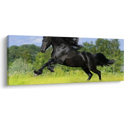 Obraz - Kôň s vzdušnou hrivou, jednodielne 100x40 cm