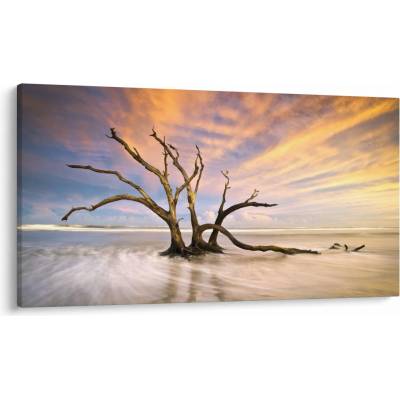 Obraz stromu v oceáne, jednodielne 120x70 cm