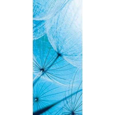 Preinterier DV0222 Fototapeta na stenu Modrá púpava vlies 91cm x 211cm