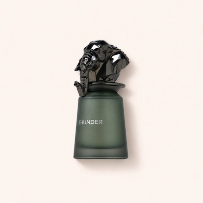 French Avenue Thunder parfémovaná voda pánská 100 ml
