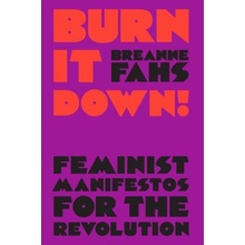 Burn It Down!: Feminist Manifestos for the Revolution