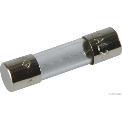 Poistka HERTH+BUSS ELPARTS 50295050
