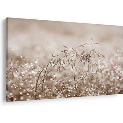 Obraz - Lúka v hnedých tónoch, jednodielne 90x60 cm