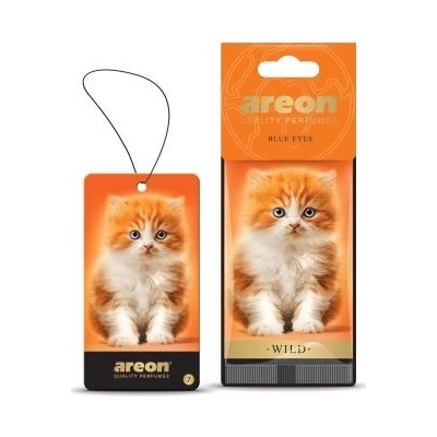 Areon Wild Blue Eyes