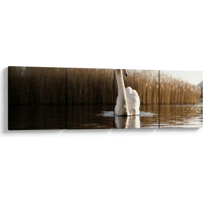 Obraz labutě, Čtyřdílný 160x40 cm