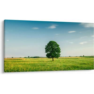 Obraz stromu uprostred lúky, jednodielne 120x70 cm