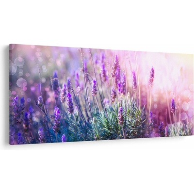 Obraz - Levanduľa vo trblietania slnka, jednodielne 200x100 cm