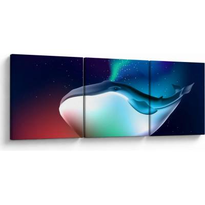 Obraz - Vesmírna veľryba, trojdielne 90x30 cm