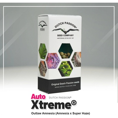 Dutch Passion AUTO Xtreme semienka neobsahujú THC 7 ks