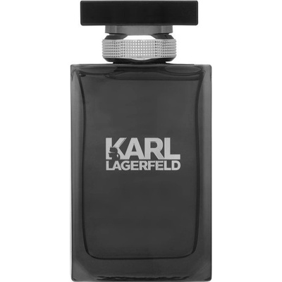 Karl Lagerfeld toaletní voda pánská 100 ml – Hledejceny.cz