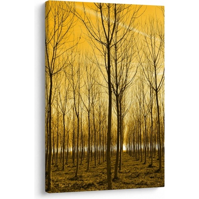 Obraz lesa pri západe slnka, jednodielny 60x90 cm