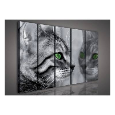 Obraz na plátne viacdielny - OB3362 - Mačka 150cm x 100cm - S9