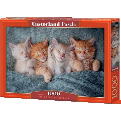 Castorland Nejsladší koťátka 1000 dílků
