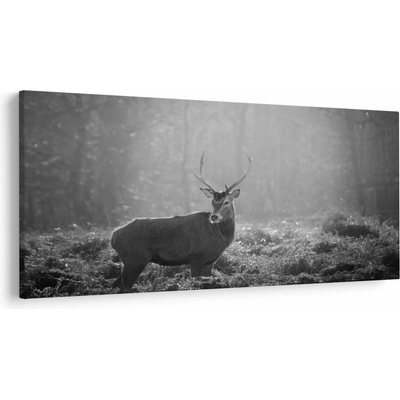 Obraz - Jeleň v lese, čiernobiela, jednodielne 250x125 cm