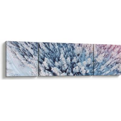 Obraz zasnežených stromov, trojdielne 170x50 cm