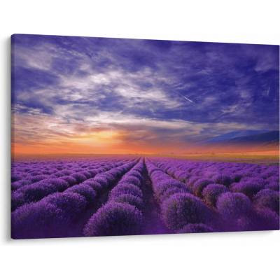 Obraz levanduľového pole, jednodielne 100x70 cm
