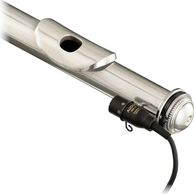 Audix ADX 10FL