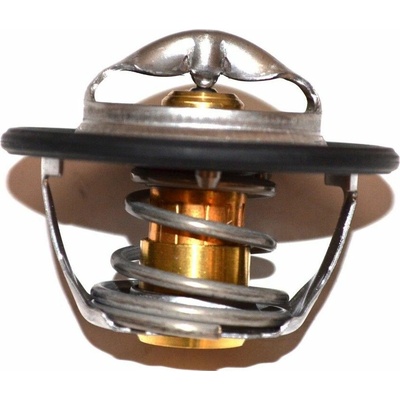 Termostat Iveco EuroCargo Tector 504380075