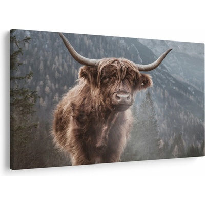 Obraz - Highlander kráva, jednodílný 120x80 cm