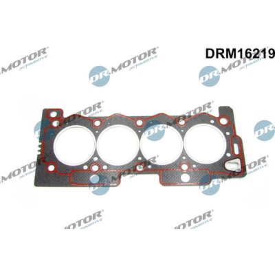DR.MOTOR AUTOMOTIVE Tesnenie hlavy valcov DRM16219