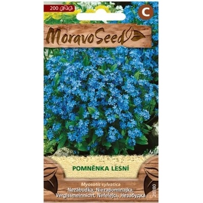 MORAVOSEED Pomněnka lesní modrá – Hledejceny.cz