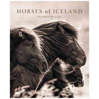Horses of Iceland