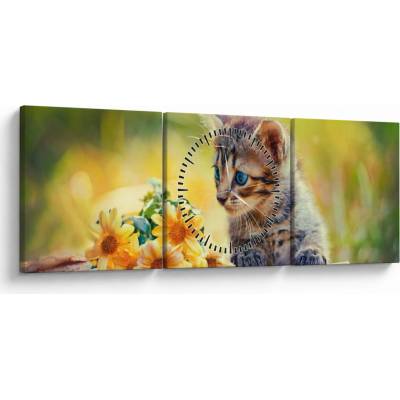 Obraz mačiatka pozerajúce sa na kvetinu (s hodinami), trojdielne 90x30 cm s hodinami